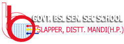 Govt. B.S.L. Senior School Slapper